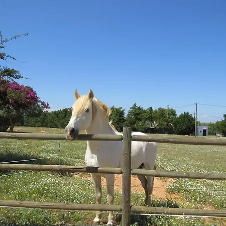 Quinta Dos Cavalos Silves
